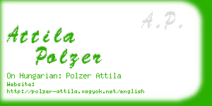 attila polzer business card